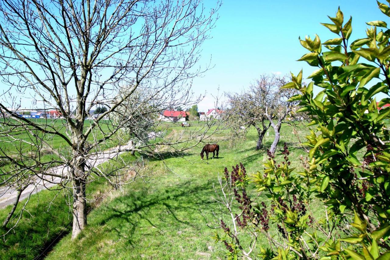 Ferienhaus Vera Moritzburg Kültér fotó